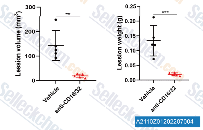 A2110  Anti-mouse CD16CD32-InVivo.gif